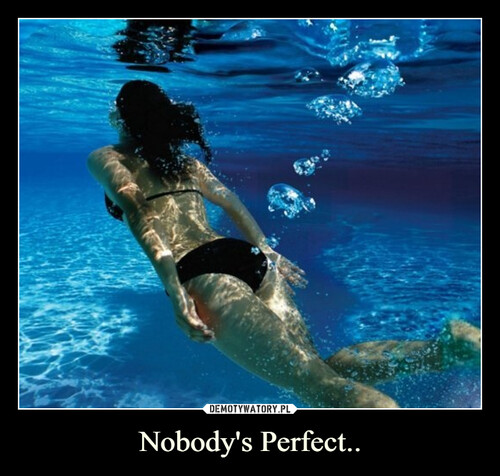 Nobody's Perfect..