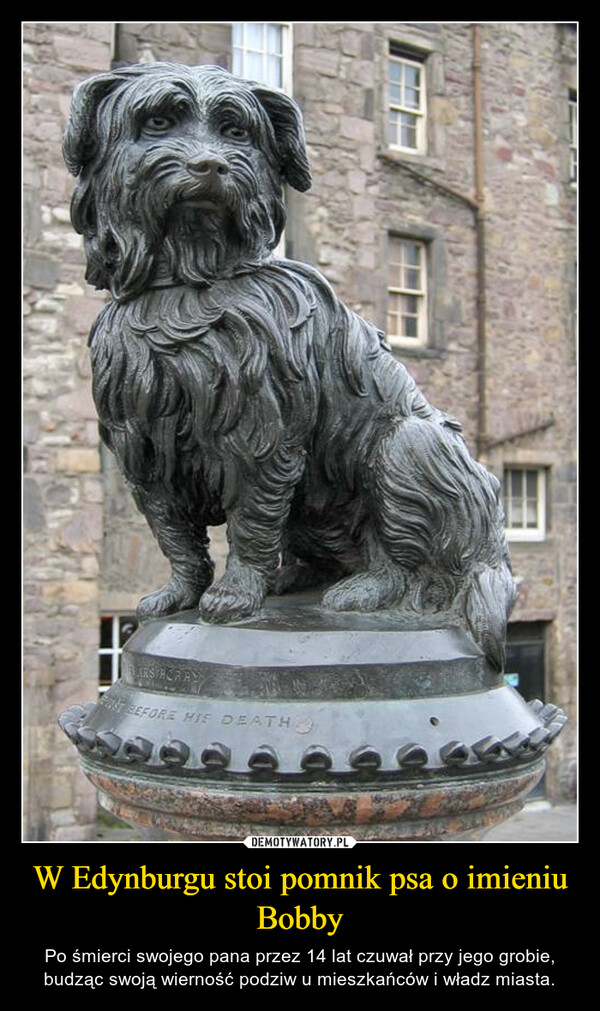 W Edynburgu stoi pomnik psa o imieniu Bobby – Po śmierci swojego pana przez 14 lat czuwał przy jego grobie, budząc swoją wierność podziw u mieszkańców i władz miasta. 