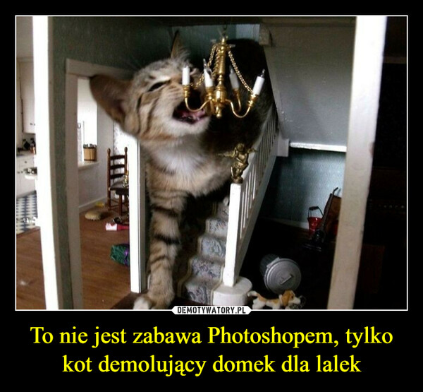 To nie jest zabawa Photoshopem, tylko kot demolujący domek dla lalek