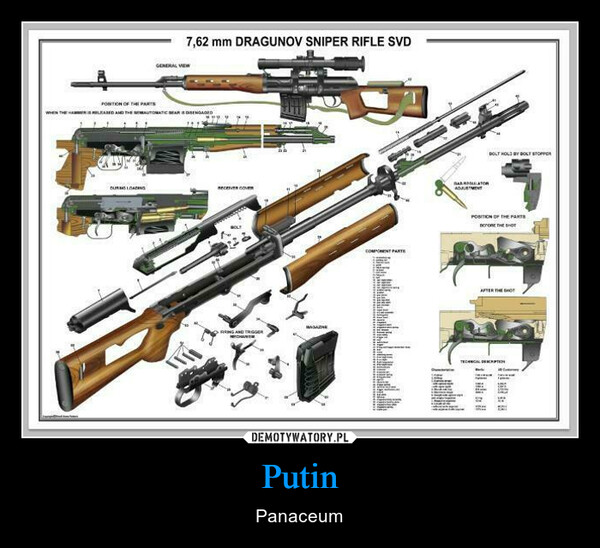 Putin – Panaceum 