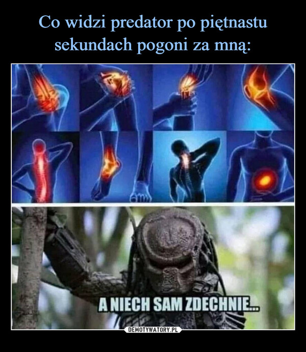 –  a niech sam zdechnie