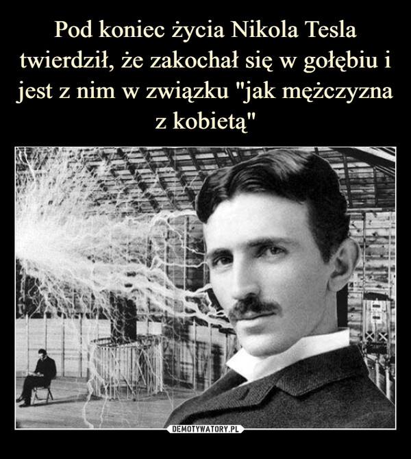 Pod koniec życia Nikola Tesla twierdził, że zakochał się w gołębiu i jest z nim w związku "jak mężczyzna z kobietą"