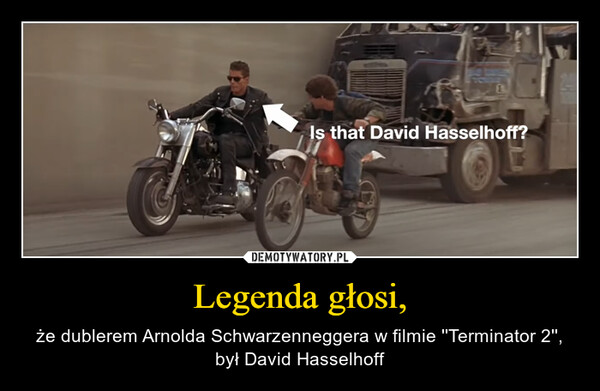 Legenda głosi, – że dublerem Arnolda Schwarzenneggera w filmie ''Terminator 2'', był David Hasselhoff 