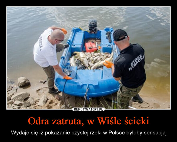 Odra zatruta, w Wiśle ścieki – Wydaje się iż pokazanie czystej rzeki w Polsce byłoby sensacją 