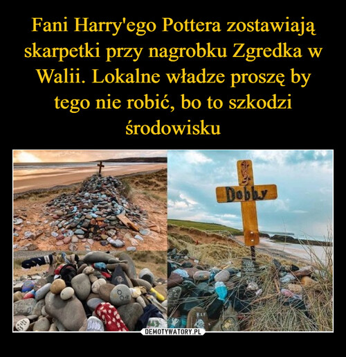 Fani Harry'ego Pottera zostawiają skarpetki przy nagrobku Zgredka w Walii. Lokalne władze proszę by tego nie robić, bo to szkodzi środowisku