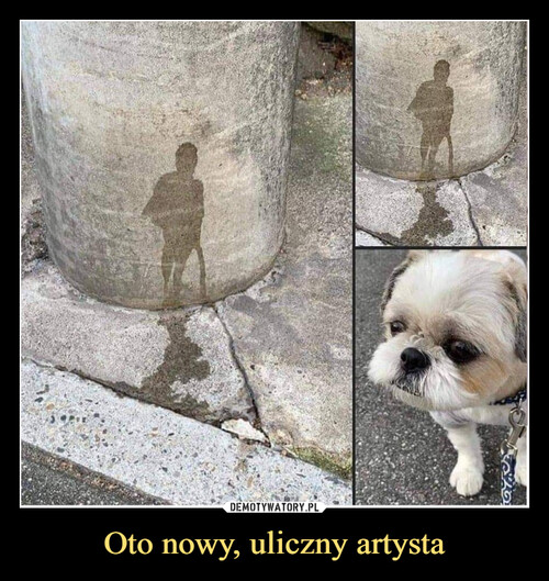 Oto nowy, uliczny artysta