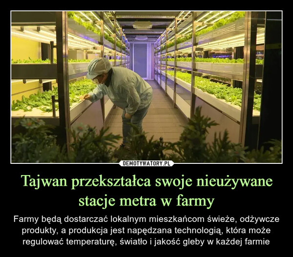 Tajwan przekształca swoje nieużywane stacje metra w farmy – Farmy będą dostarczać lokalnym mieszkańcom świeże, odżywcze produkty, a produkcja jest napędzana technologią, która może regulować temperaturę, światło i jakość gleby w każdej farmie 