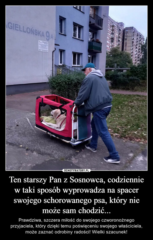 Ten starszy Pan z Sosnowca, codziennie w taki sposób wyprowadza na spacer swojego schorowanego psa, który nie może sam chodzić...