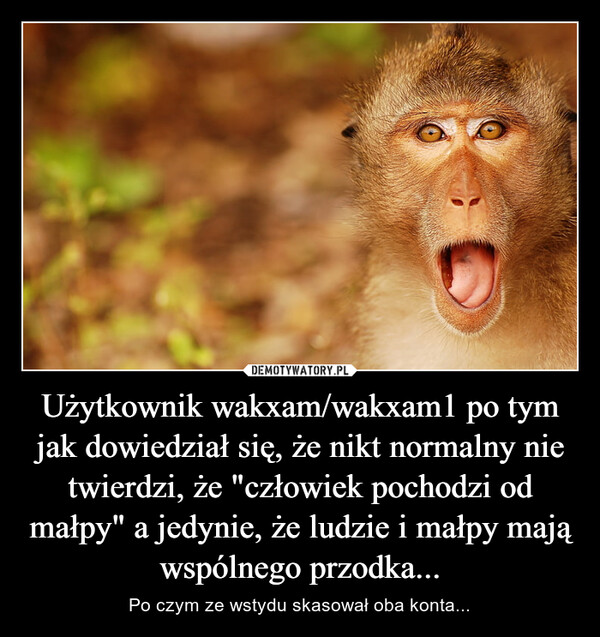Użytkownik wakxam/wakxam1 po tym jak dowiedział się, że nikt normalny nie twierdzi, że "człowiek pochodzi od małpy" a jedynie, że ludzie i małpy mają wspólnego przodka... – Po czym ze wstydu skasował oba konta... 