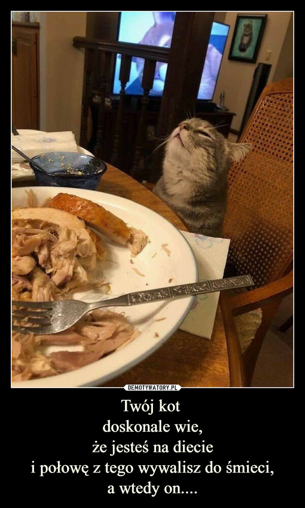 Twój kot doskonale wie,że jesteś na dieciei połowę z tego wywalisz do śmieci,a wtedy on.... –  