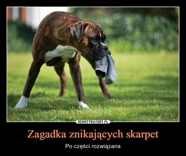 Zagadka znikających skarpet – Po części rozwiązana 