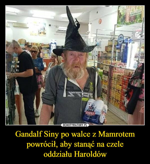 Gandalf Siny po walce z Mamrotem
powrócił, aby stanąć na czele
oddziału Haroldów