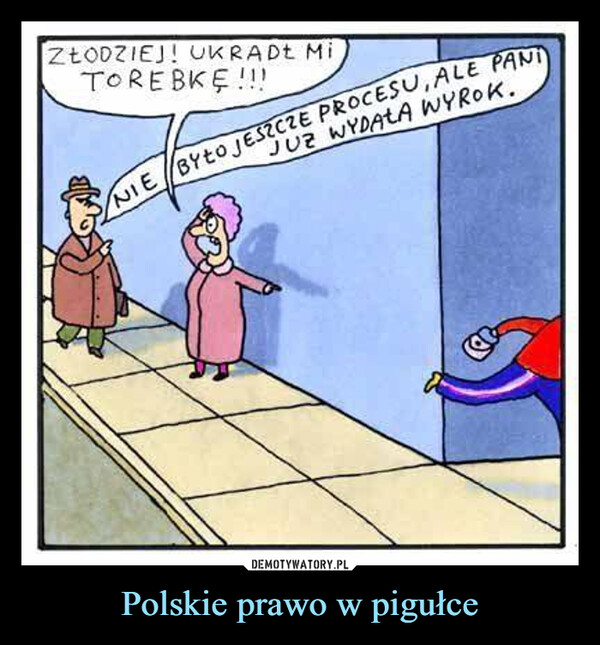 Polskie prawo w pigułce –  ZŁODZIEJ! UKRADE MiTOREBKE!!!NIE BYŁO JESZCZE PROCESU, ALE PANIJUZ WYDAŁA WYROK.
