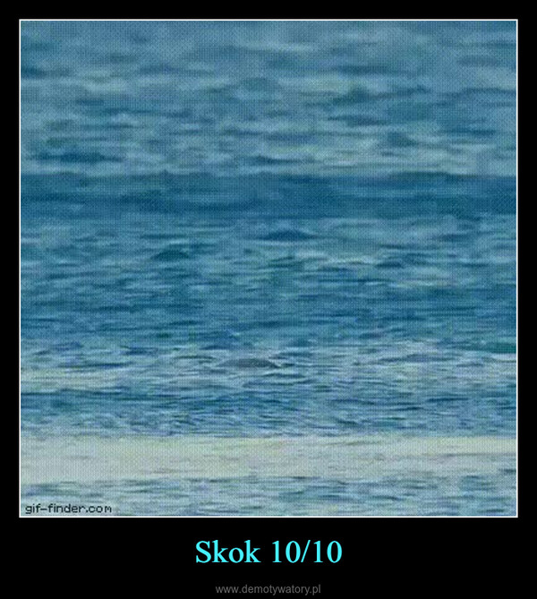 Skok 10/10 –  gif-finder.com