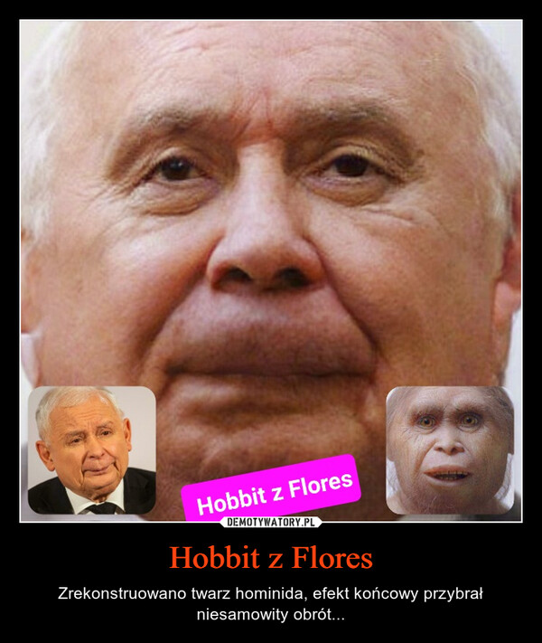 Hobbit z Flores – Zrekonstruowano twarz hominida, efekt końcowy przybrał niesamowity obrót... Hobbit z Flores