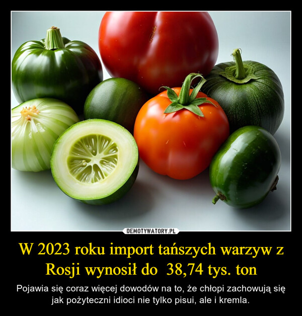 W 2023 roku import tańszych warzyw z Rosji wynosił do  38,74 tys. ton – Pojawia się coraz więcej dowodów na to, że chłopi zachowują się jak pożyteczni idioci nie tylko pisui, ale i kremla. Crist
