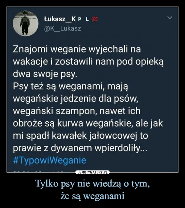 Tylko psy nie wiedzą o tym,że są weganami –  >Łukasz KPL 100@K_LukaszZnajomi weganie wyjechali nawakacje i zostawili nam pod opiekądwa swoje psy.Psy też są weganami, mająwegańskie jedzenie dla psów,wegański szampon, nawet ichobroże są kurwa wegańskie, ale jakmi spadł kawałek jałowcowej toprawie z dywanem wpierdoliły...#TypowiWeganie
