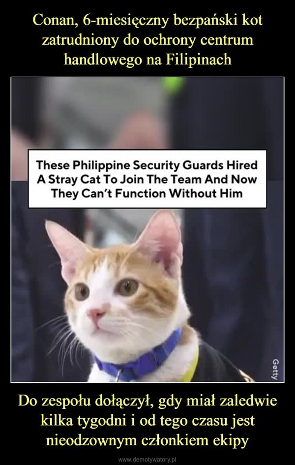 Do zespołu dołączył, gdy miał zaledwie kilka tygodni i od tego czasu jest nieodzownym członkiem ekipy –  These Philippine Security Guards HiredA Stray Cat To Join The Team And NowThey Can't Function Without HimGetty