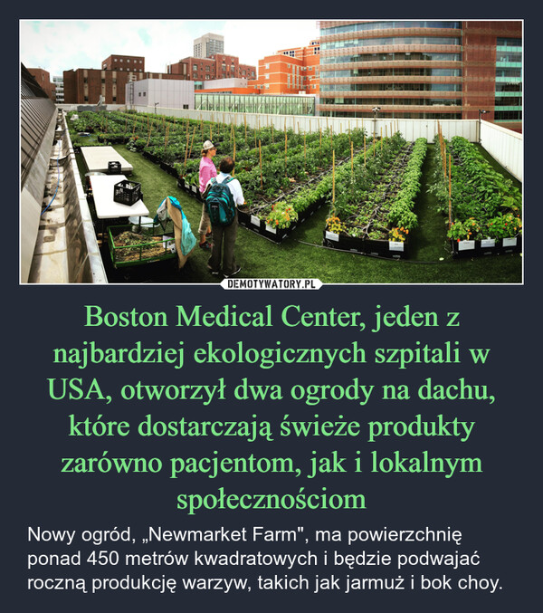 Boston Medical Center, jeden z najbardziej ekologicznych szpitali w USA, otworzył dwa ogrody na dachu, które dostarczają świeże produkty zarówno pacjentom, jak i lokalnym społecznościom – Nowy ogród, „Newmarket Farm", ma powierzchnię ponad 450 metrów kwadratowych i będzie podwajać roczną produkcję warzyw, takich jak jarmuż i bok choy. 11171119MILLA CARTSJANSPORLRECENTRECOVERLettuceRECOVERREGSVITomatoesRECOVERRECOVERPeppersBasilTomatoesParsleyDERECOVERRECOVERRECOVER
