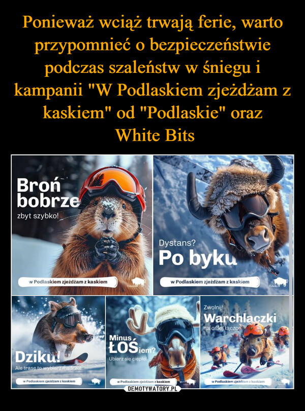  –  Bronbobrzezbyt szybko!w Podlaskiem zjeżdżam z kaskiemDystans?Po bykuw Podlaskiem zjeżdżam z kaskiemDziku!Ale trase to wybierz mądrzelMinusŁOSiem?Ubierz się ciepło!Zwolnij!Warchlaczkina oślej łączcew Podlaskiem zjeżdżam z kaskiemw Podlaskiem zjeżdżam z kaskiemw Podlaskiem zjeżdżam z kaskiem