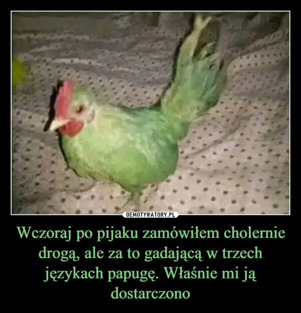 Wczoraj po pijaku zamówiłem cholernie drogą, ale za to gadającą w trzech językach papugę. Właśnie mi ją dostarczono –  